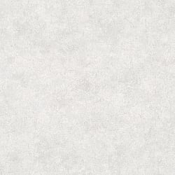 Galerie Wallcoverings Product Code: 95021 - Air Wallpaper Collection Galerie Wallcoverings Product Code 95021 - Air Wallpaper Collection - White Colours - This earthy wallpaper will be a warming welcome to your home and perfect on all four walls or accompanied by a complementing design. The wallpaper has a subtle emboss that creates some structural depth and comes in a an on trend silver grey tone. It’s a great way to bring your room up to date with a natural and earthy feel. Design