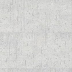 Galerie Wallcoverings Product Code: 95028 - Air Wallpaper Collection Galerie Wallcoverings Product Code 95028 - Air Wallpaper Collection - White Colours - This aged concrete effect wallpaper is the perfect choice if you want to bring a room up to date in a dramatic way. With a subtle emboss to create some structural depth, it comes in an on-trend silver grey colourway. Drawing on the textures of, and resembling the stippled texture of ancient plasterwork or faded limestone, this unusual wallpaper will be a warming welcome to your home. This will be perfect on all four walls or can be accompanied by a complementary wallpaper. Design