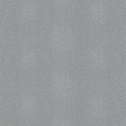 Galerie Wallcoverings Product Code: 95055 - Air Wallpaper Collection Galerie Wallcoverings Product Code 95055 - Air Wallpaper Collection - Silver Colours - This textured wallpaper is the perfect choice if you want to bring a room up to date in an understated way. With a subtle emboss to create some structural depth, it comes in an on-trend natural colour. No interior décor is complete without the addition of texture, this matte natural wallpaper will be a warming welcome to your home. This will be perfect on all four walls or can be accompanied by a complementary wallpaper. Design