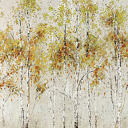 Galerie Wallcoverings Product Code: DB32006M - Daisy Bennett Wallpaper Collection Galerie Wallcoverings Product Code DB32006M - Daisy Bennett Wallpaper Collection - Multicolors Colours - Aspen Tree Mural Design