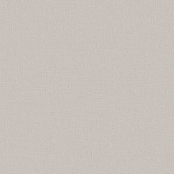 Galerie Wallcoverings Product Code DC30118 - Designer Colours Wallpaper Collection - Beige Colours - Abstract Texture Design