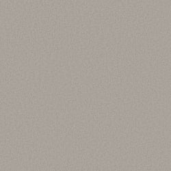 Galerie Wallcoverings Product Code DC30145 - Designer Colours Wallpaper Collection - Silver Grey Colours - Close Texture Design