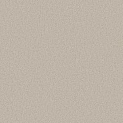 Galerie Wallcoverings Product Code DC30241 - Designer Colours Wallpaper Collection - Beige Colours - Fine Texture Design