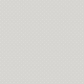 Galerie Wallcoverings Product Code 14863 - Little Explorers 2 Wallpaper Collection - Silver Grey Colours -  