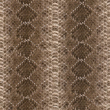 Galerie Wallcoverings Product Code 473810 - African Queen 2 Wallpaper Collection -   