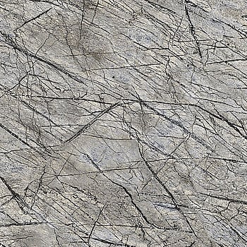 Galerie Wallcoverings Product Code 474015 - African Queen 2 Wallpaper Collection -   