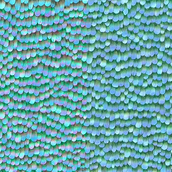 Galerie Wallcoverings Product Code AM30018 - Amazonia Wallpaper Collection - Blue Colours -  