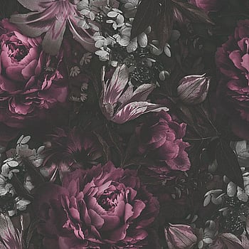 Galerie Wallcoverings Product Code BW51003 - Blooming Wild Wallpaper Collection - Grey Red Black Colours -  