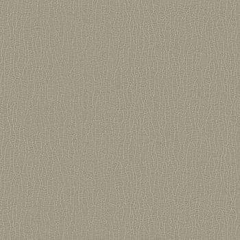 Galerie Wallcoverings Product Code DC30043 - Designer Colours Wallpaper Collection - Beige Colours -  